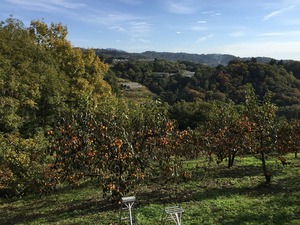 2014-11-16 09.47.40.jpg